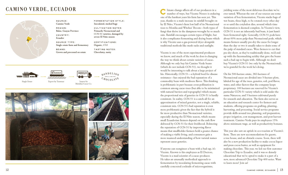 dandelion-sourcing-report-2015-camino-verde-cropped