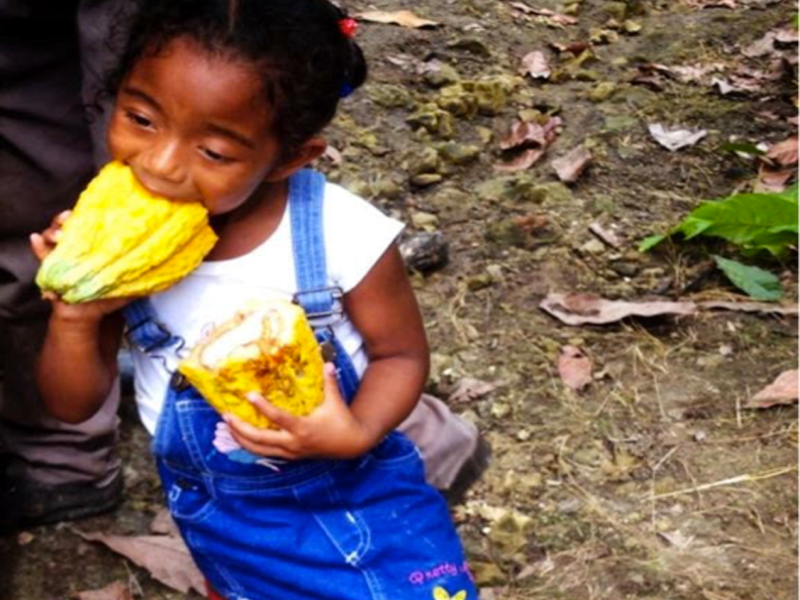Little girl eating baba